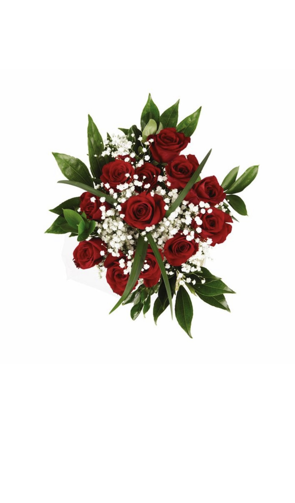 Romantic Red Rose Bouquet